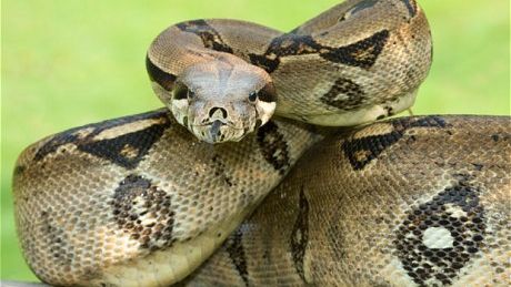 Cele mai bizare lucruri scoase la vânzare online de români