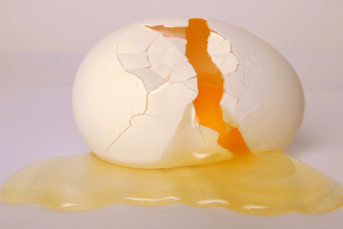 Un ou fiert mai poate fi readus în starea inițială? Oamenii de știință ne uimesc 