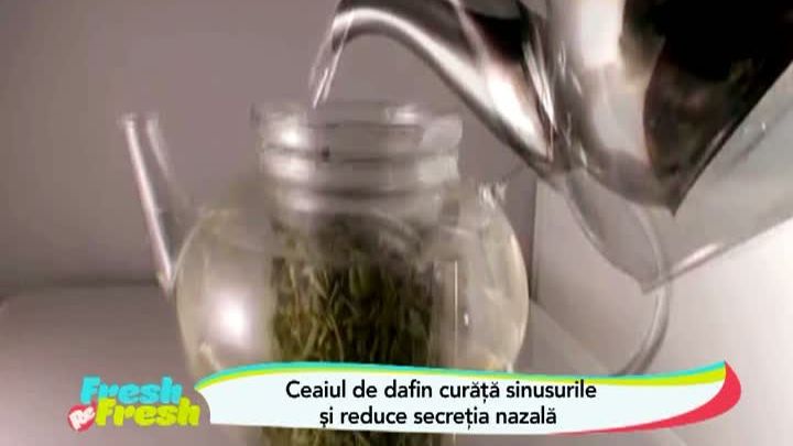FRESH REFRESH. Ceaiul de dafin, leac pentru afecţiunile respiratorii