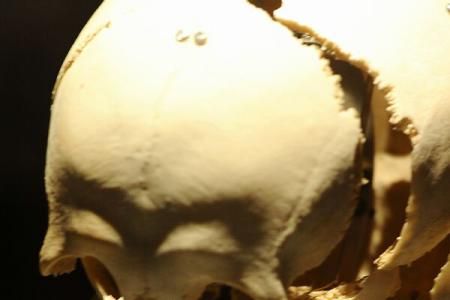 Descoperirea uluitoare într-o peșteră din Israel