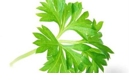 Dieta cu pătrunjel: slăbeşte sanatos 3 kg în numai o săptămână
