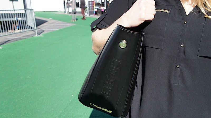 Motiv de ENTUZIASM pentru doamne și domnișoare. Veți sări cu BANII când veți vedea POȘETA asta