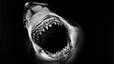 Expresii care ne strică relațiile la serviciu. "Măi, fetițo!"