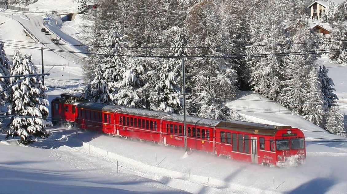 Un tren de pasageri Regio a DERAIAT, din cauza unei cirezi de VACI