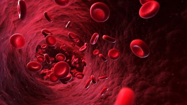 Ai colesterolul mărit? Evită să consumi aceste alimente!