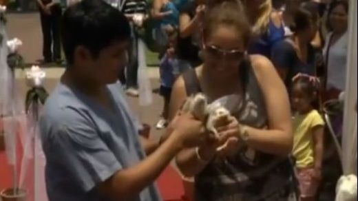 Nunta animalelor, un eveniment cu tradiţie în Peru 