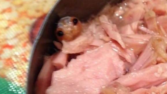 Un adevărat şoc: Ce a găsit o femeie în conserva de ton