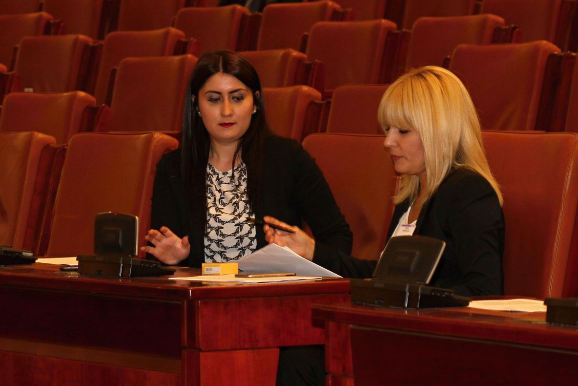 Ce deputați au venit la Elena Udrea, să îi adreseze câteva cuvinte, înainte de vot