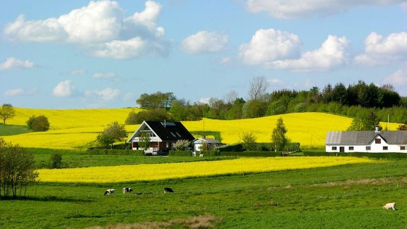 O ţară din Europa vrea să REDUCĂ taxele şi impozitele: "Trebuie să merite să munceşti"