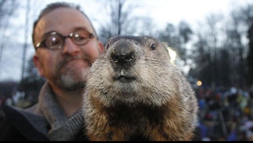 Ce a prezis marmota Phil legat de vremea din următoarea perioadă 