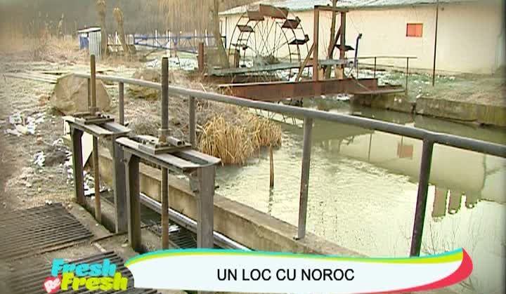 Fresh Refresh. Moara "cu noroc", readusă la viaţă