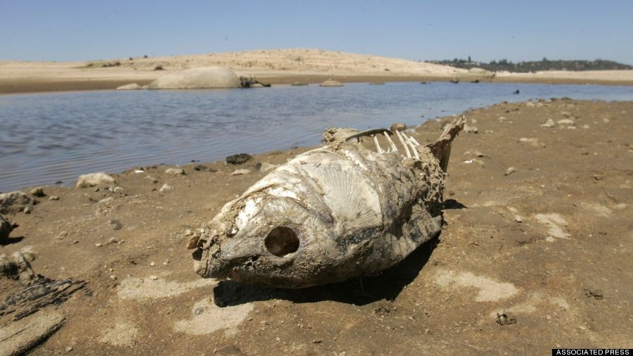 Avertisment NASA: Un fenomen fără precedent în ultimii 1.000 de ani