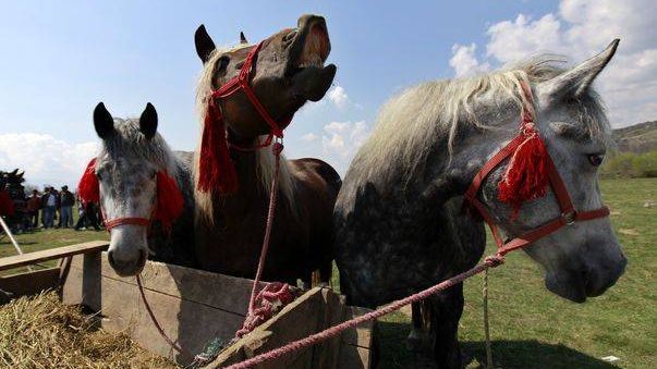 Deşi sună ciudat, mâine este Paştele Cailor. Ce semnificaţie are această sărbătoare