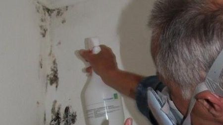 Cum să îndepărtezi mucegaiul de pe perete. Soluţia naturală, ieftină şi eficientă