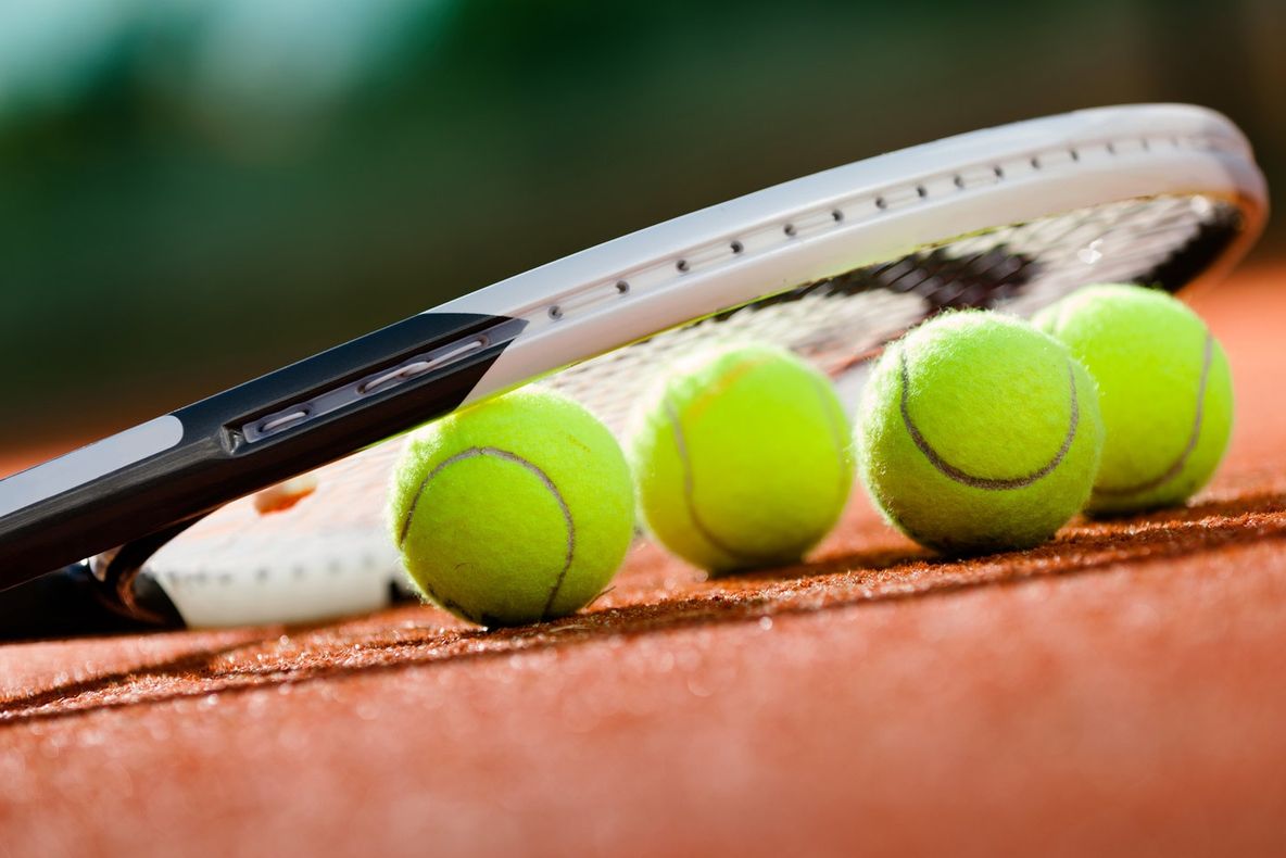 Horia Tecău şi Jean-Julien Rojer în finala de dublu la Rotterdam