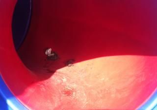 Experienţa unui tată din Cluj care a mers cu copilul în parc. Ce a găsit acolo i-a produs greaţă