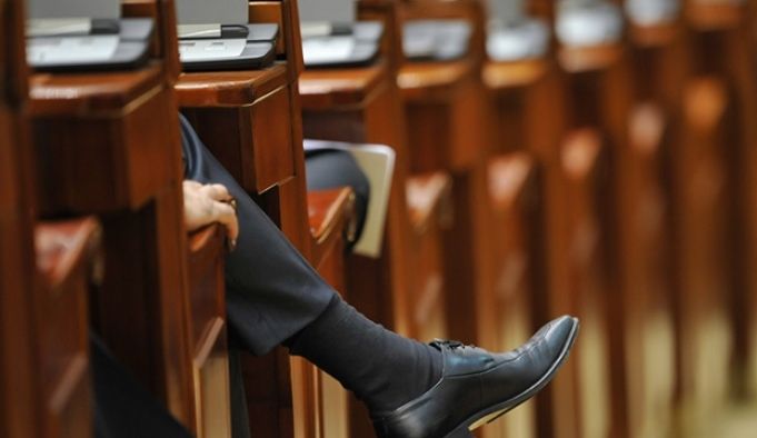 Codul silvic intră marţi în dezbateri la comisiile Camerei Deputaţilor