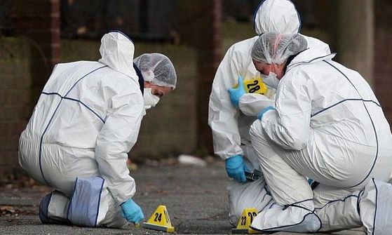 "Şoseaua Morţii". Locul în care au murit cei mai mulţi oameni în Timiş