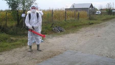 Gripă aviară în Bulgaria