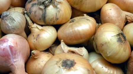 Japonezii au creat ceapa care nu face ochii să lăcrimeze