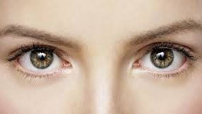 Test: Tu câte culori vezi în această fotografie?