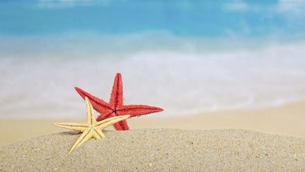 Horoscopul tahitian: află ce tip de femeie eşti