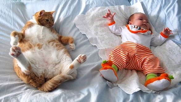 Cele mai simpatice fotografii cu pisici şi copii. Îţi vor face ziua mai frumoasă