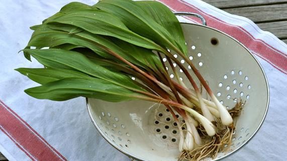 Leacul verde din lunile de primăvară. Cum să opreşti rapid procesul de îmbătrânire