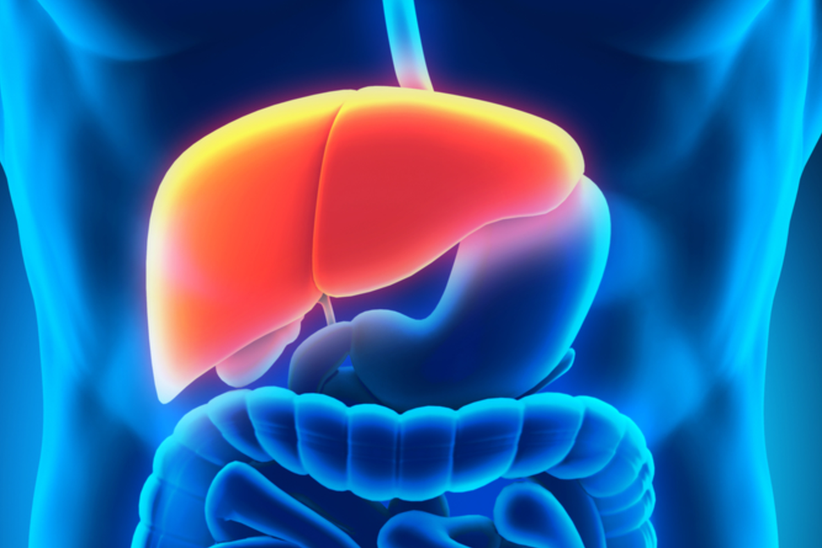 Ficatul bolnav. Semne clare care arată că are nevoie de tratament