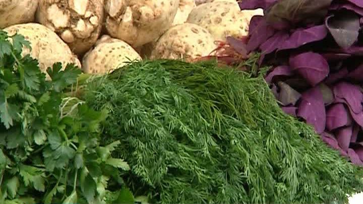 Fresh Refresh. Minunile unei plante folosite de milenii: mărarul