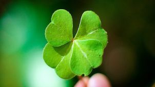 Horoscopul de primăvară. Zile norocoase la bani şi în dragoste