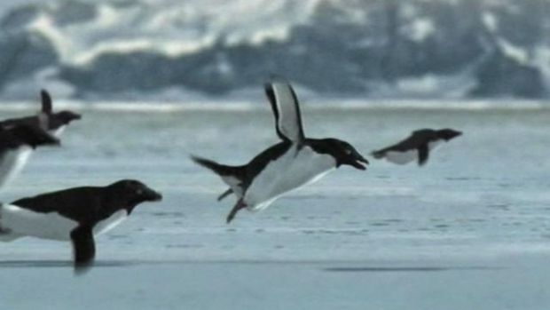 Top 10 cele mai bune păcăleli de 1 aprilie