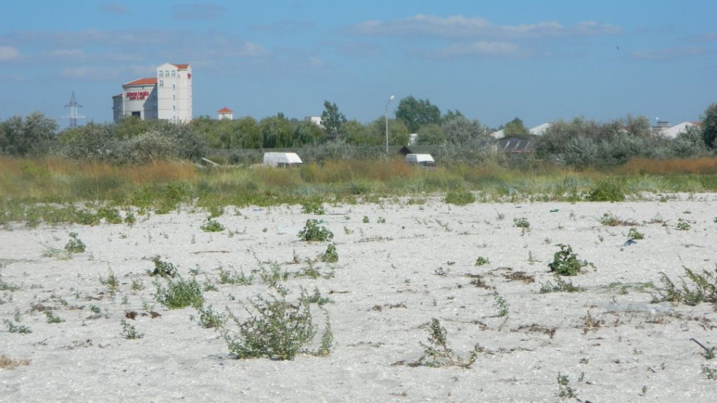 Descoperire incredibilă pe o plajă din Năvodari