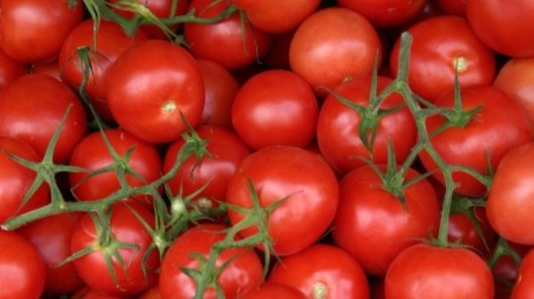 Pentru primăvară, dieta cu roşii. Slăbeşti 3 kilograme în 5 zile