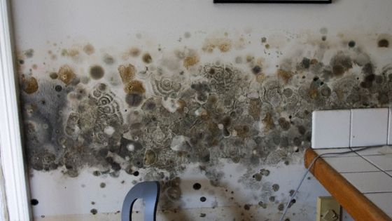Cum să curăţaţi rapid şi eficient mucegaiul pereţilor, foarte periculos pentru sănătate