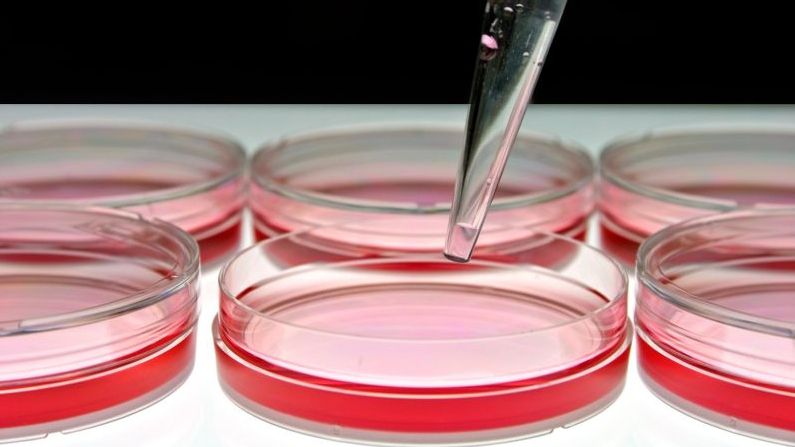 De ce boli eşti ferit şi la care eşti predispus în funcţie de grupa ta sangvină