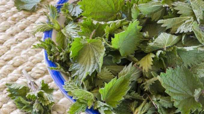 Cum să cureți urzicile