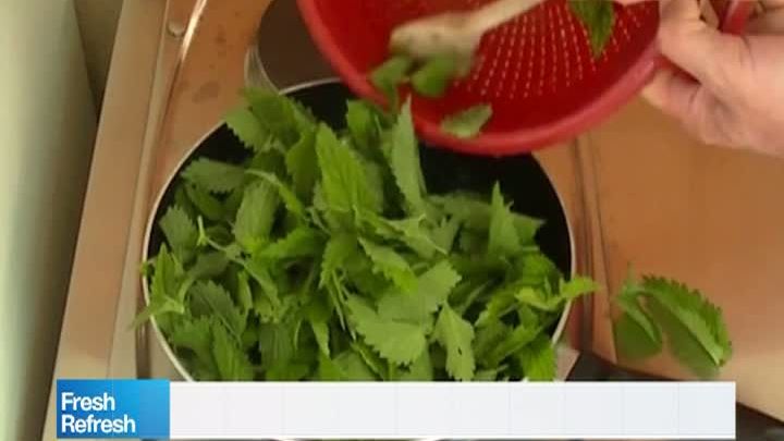 Fresh Refresh. Cât timp trebuie gătite urzicile: dacă depăşeşti timpul, îşi pierd proprietăţile