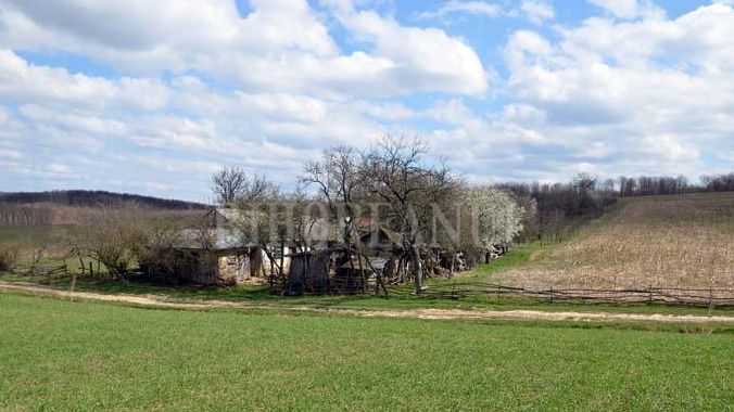 Satul fantomă din Bihor. Ultimul locuitor al satului a murit în luna martie