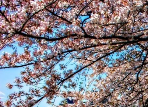 Cum va fi vremea de Paşte