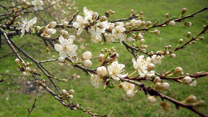 Vreme mai rece decât ar fi normal în toată ţara. Prognoza pe trei zile