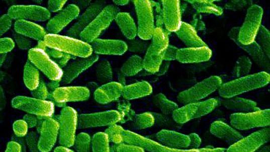 Cel mai banal mod prin care ne otrăvim singuri mâncarea