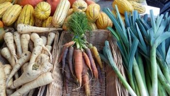 De ce alimentele eco-bio îţi pot îmbolnăvi familia