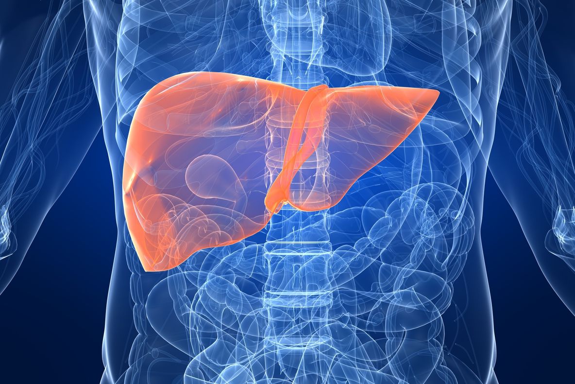 Boala ficatului gras: Care sunt cauzele şi cum se tratează