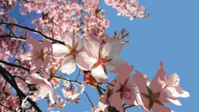 Cum va fi vremea de Florii şi de Paşte? Prognoza meteo pe două săptămâni 