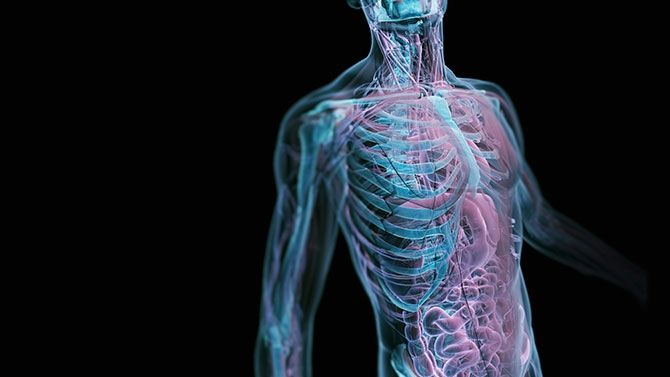 8 lucruri recent descoperite despre corpul uman