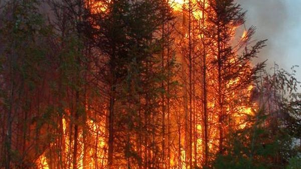 Ministrul Mediului: Fumul de la Cernobîl nu va ajunge în România în următoarele 72 de ore 