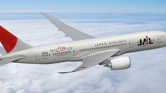 Aterizare de urgenţă la Tokyo, după ce avionul a rămas fără un motor