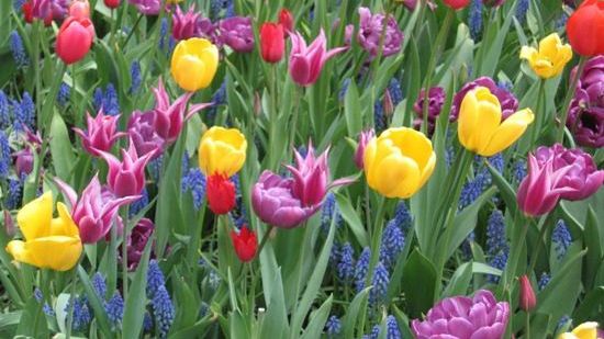 Sfântul Gheorghe. Top cele mai bune mesaje, sms-uri şi urări, bune de trimis de Sfântul Gheorghe 