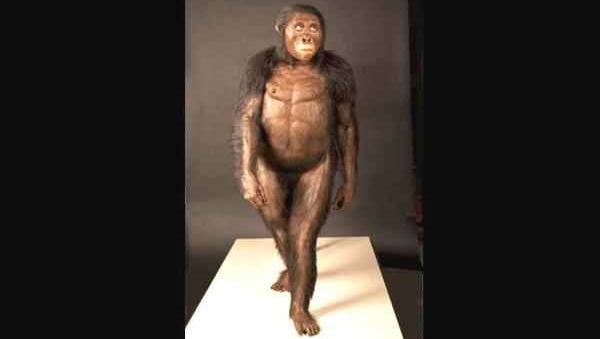 Descoperirea care contrazice tot ce ştiam până acum despre originea noastră